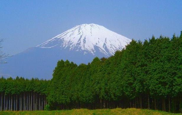 fujiyama